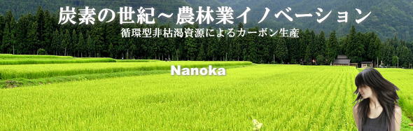 バイオマスカーボン